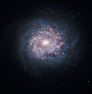 Face-on Spiral Galaxy NGC3982