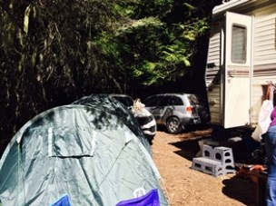 Campsite